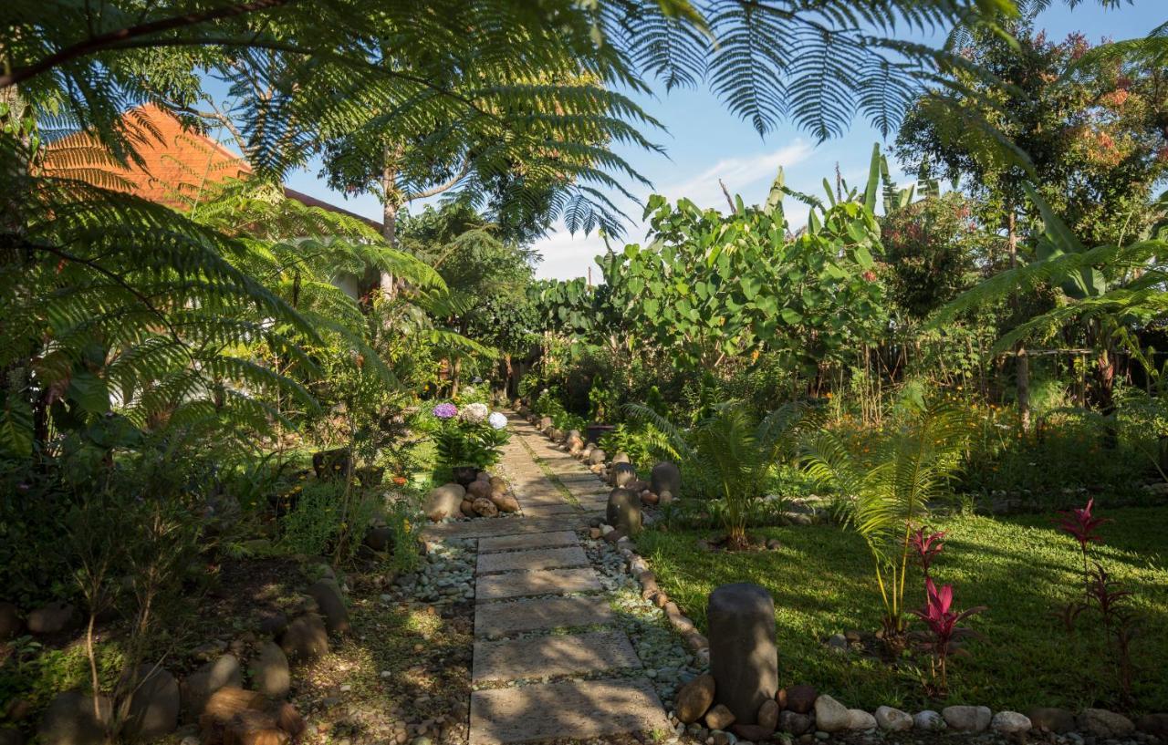 Ara Garden Inn, Accommodation, Yoga Studio & Spa 鲁滕 外观 照片