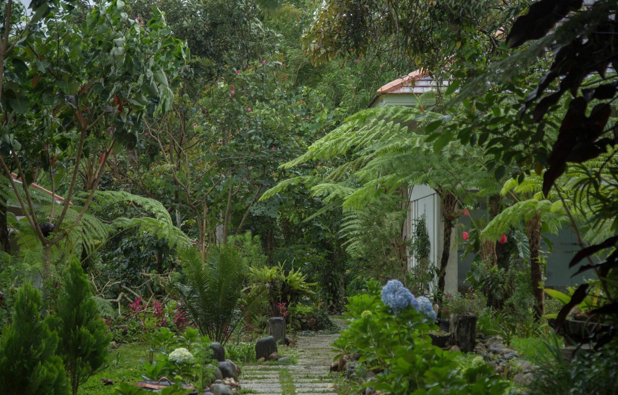 Ara Garden Inn, Accommodation, Yoga Studio & Spa 鲁滕 外观 照片